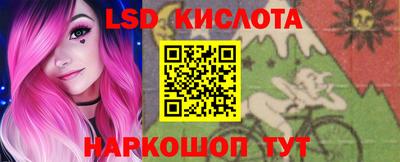 прущие грибы Севастополь