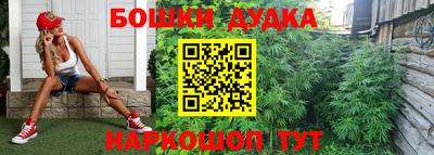 молекула духа Северобайкальск