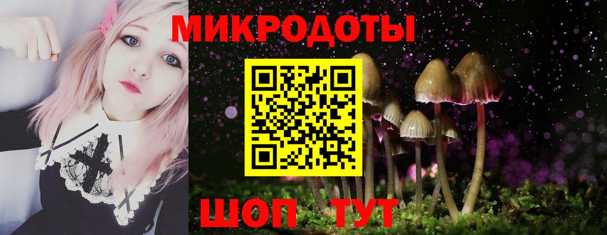 Псилоцибиновые грибы Psilocybine cubensis  Вход с VPN  Галлюциногенные грибы ЛСД  Сертолово 